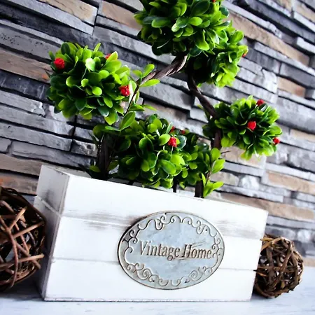 Amigo Apartmán Veliko Tarnovo